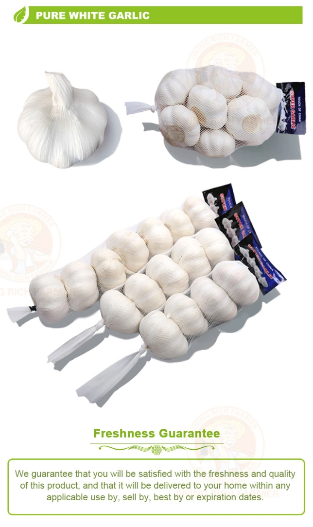 Factory Direct Sale Frozen White Garlic