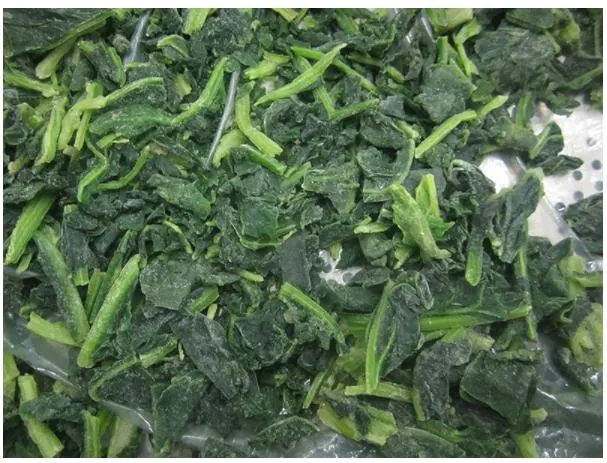 Processed Spinach Cut High Quality IQF Chopped Spinach 3/8&quot;, Frozen Vegetable