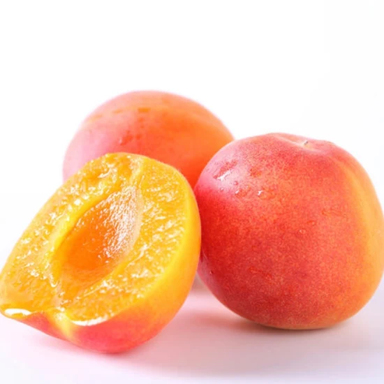 Wholesale Bulk IQF Fruits Frozen Apricot Halve for Exporting From China Supplier