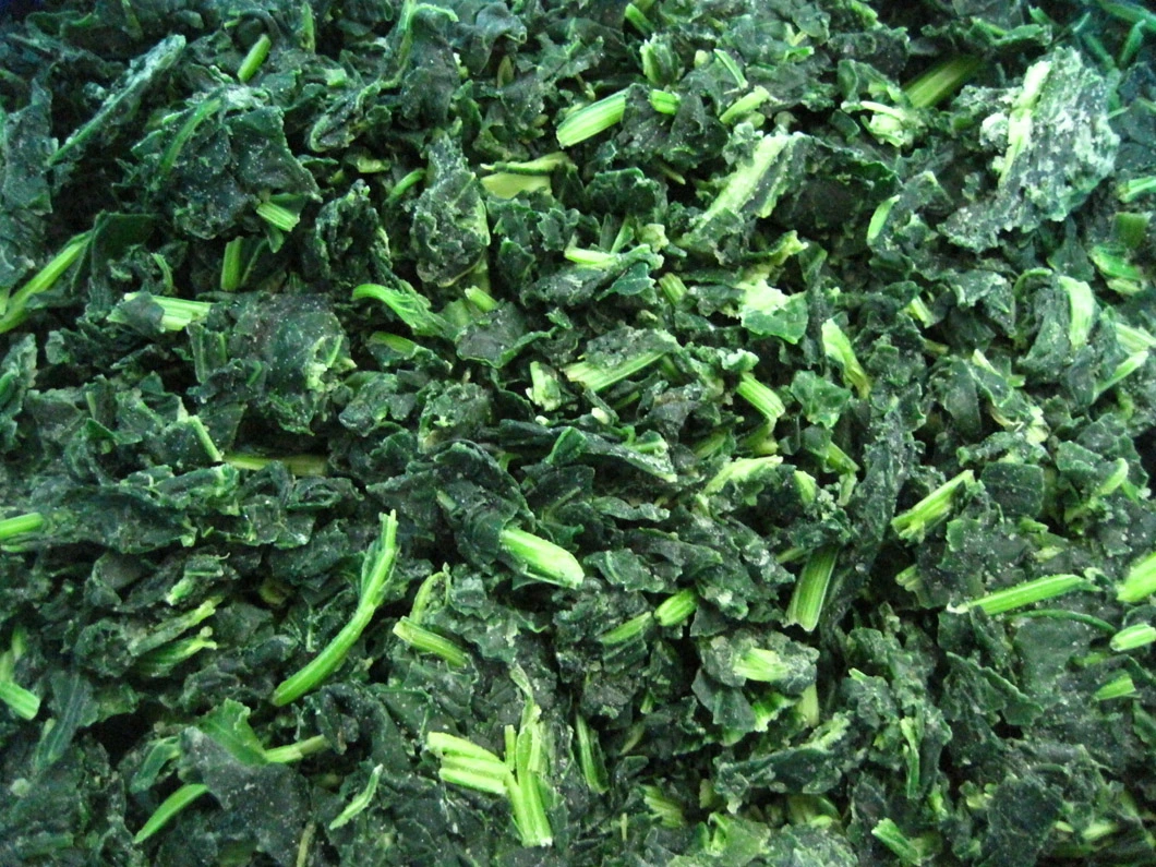 High Quality IQF Chopped Spinach 3/8&quot;, Frozen Spinach Chop