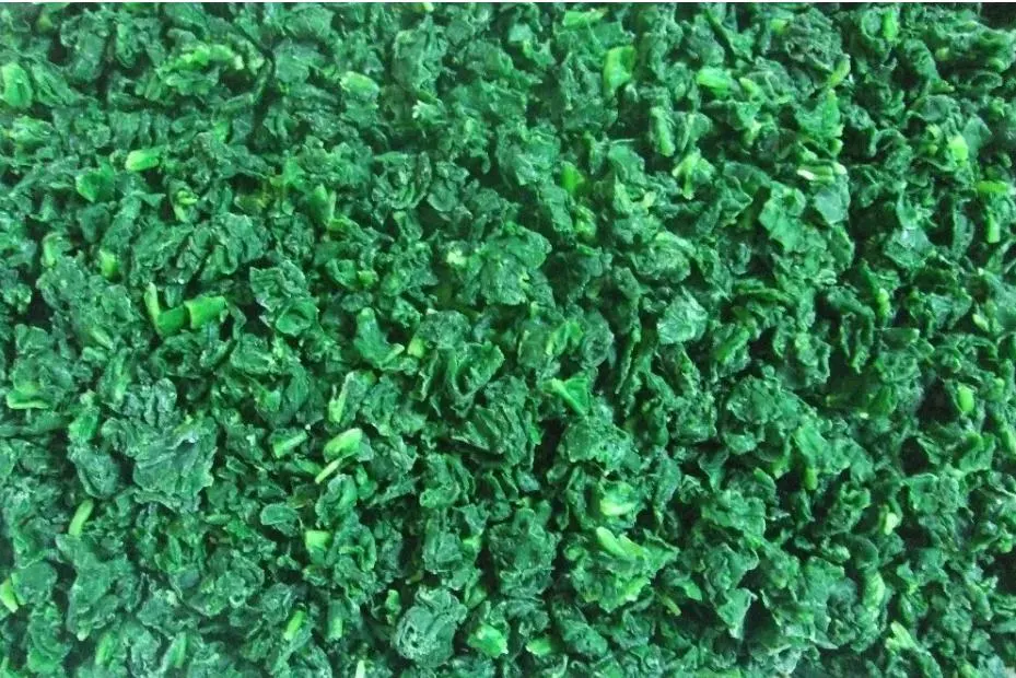 Frozen Spinach Cut High Quality IQF Chopped Spinach 3/8&quot;, Frozen Spinach Chop