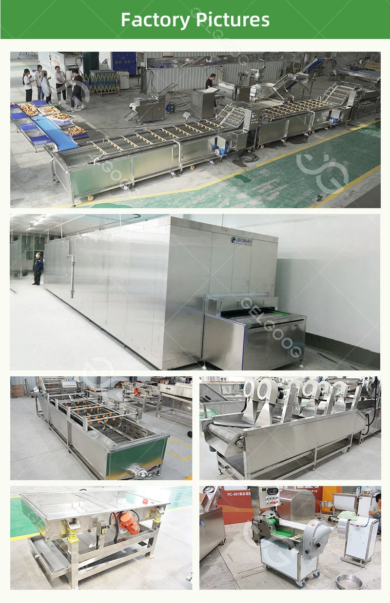 Low Energy Consumption Quick-Frozen Green Peas Production Line