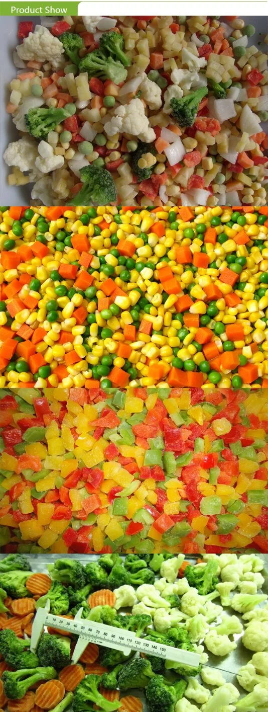 High Quality Frozen 4 Ways Mixed Vegetables Including Sweet Corn/Green Peas/Green Beans/Carrot for Exporting