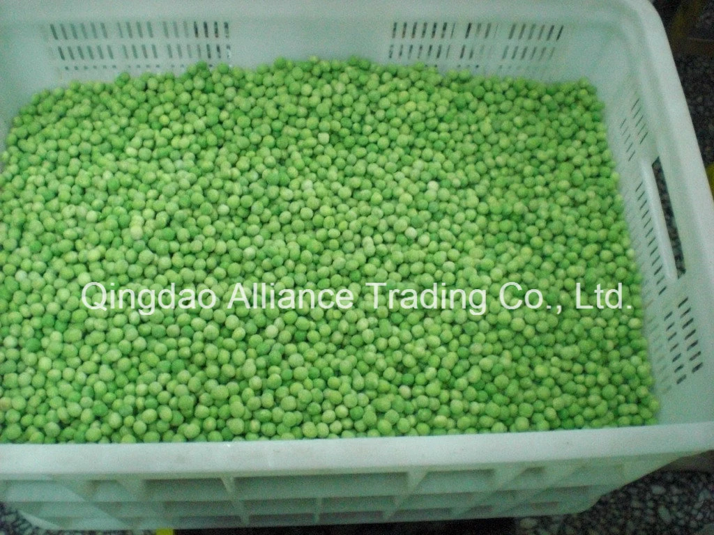 Natural IQF Frozen Green Peas for Exporting Standard in Bulk Packing