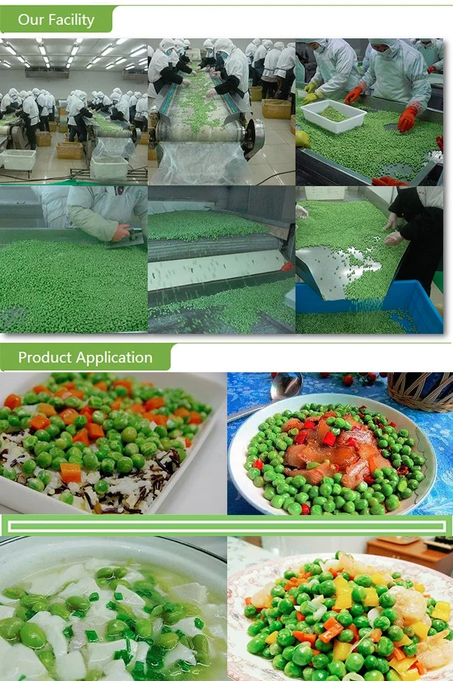 Hot Sale Frozen IQF Vegetable Green Peas with High Quality Factory Price Salad Breakfast