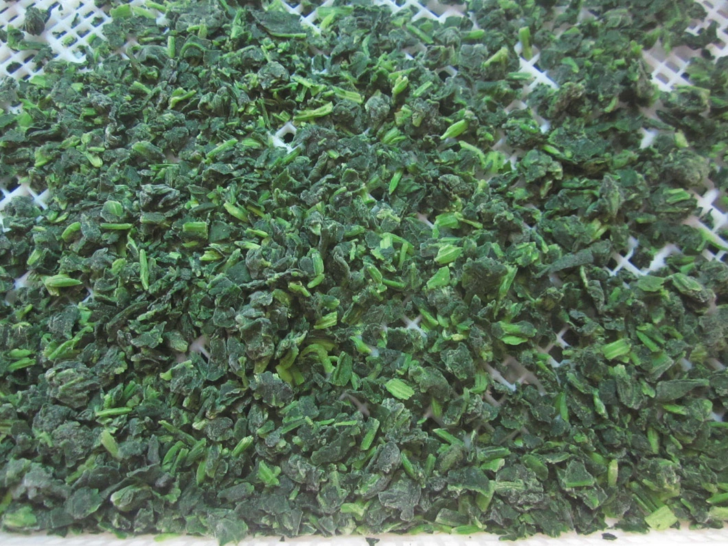 High Quality IQF Chopped Spinach 3/8&quot;, Frozen Spinach Chop