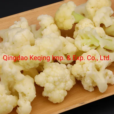 Organic Frozen Vegetable IQF Cauliflower Good Price