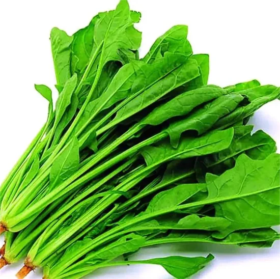 High Quality IQF Chopped Spinach 3/8