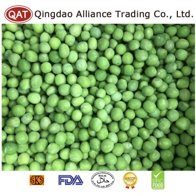 Global Hot Sale Organic Frozen Green Peas IQF Health Snow Pea Frozen Green Garden Peas for Exporting