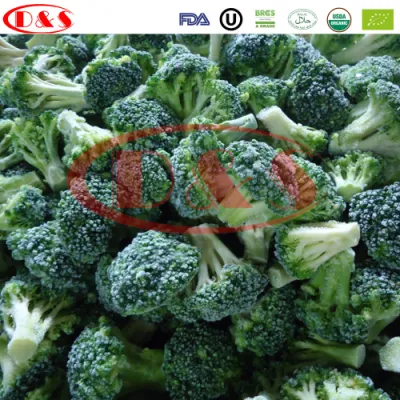 Bulk IQF Vegetables for Frozen Broccoli and Mixed Vegetables