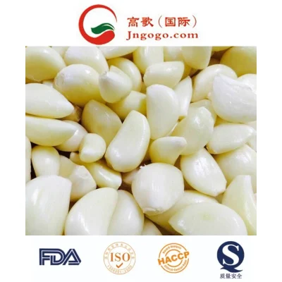 Export New Crop Super Quality White Peeled Garlic Frozen Peeled Garlic